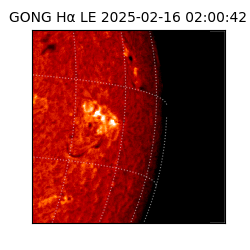 gong - 2025-02-16T02:00:42