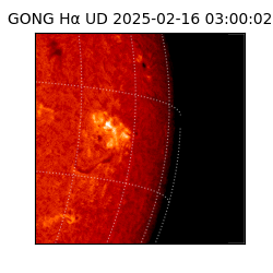 gong - 2025-02-16T03:00:02