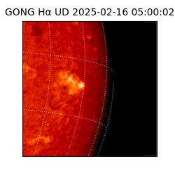 gong - 2025-02-16T05:00:02