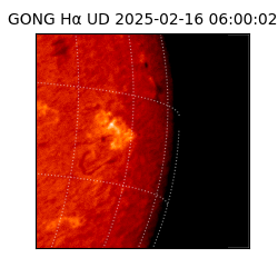 gong - 2025-02-16T06:00:02