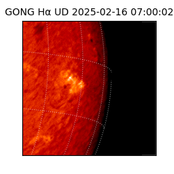 gong - 2025-02-16T07:00:02