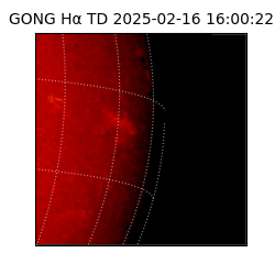 gong - 2025-02-16T16:00:22