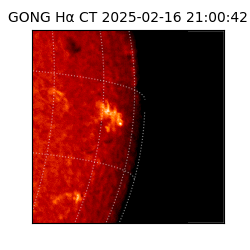 gong - 2025-02-16T21:00:42