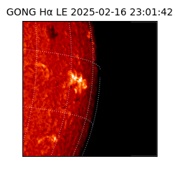 gong - 2025-02-16T23:01:42