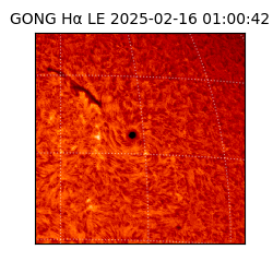 gong - 2025-02-16T01:00:42