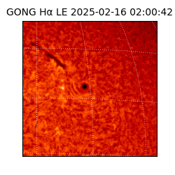 gong - 2025-02-16T02:00:42