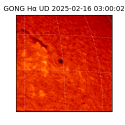 gong - 2025-02-16T03:00:02