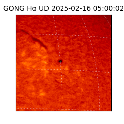 gong - 2025-02-16T05:00:02
