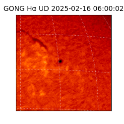 gong - 2025-02-16T06:00:02