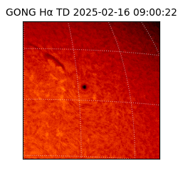 gong - 2025-02-16T09:00:22