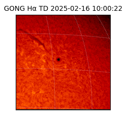 gong - 2025-02-16T10:00:22