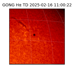 gong - 2025-02-16T11:00:22