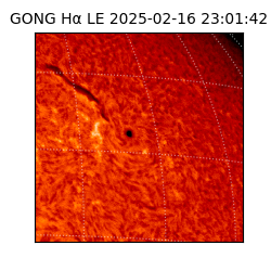gong - 2025-02-16T23:01:42
