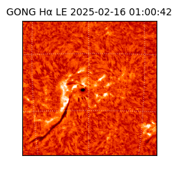 gong - 2025-02-16T01:00:42