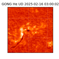 gong - 2025-02-16T03:00:02