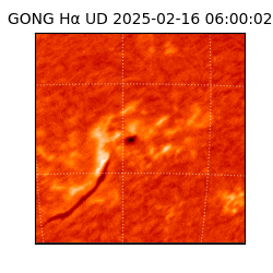 gong - 2025-02-16T06:00:02