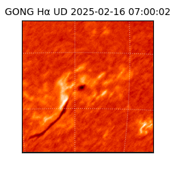 gong - 2025-02-16T07:00:02