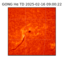 gong - 2025-02-16T09:00:22