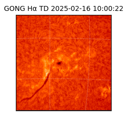 gong - 2025-02-16T10:00:22