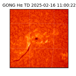 gong - 2025-02-16T11:00:22