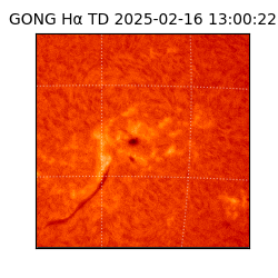 gong - 2025-02-16T13:00:22