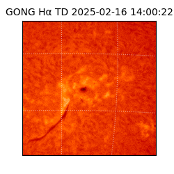 gong - 2025-02-16T14:00:22