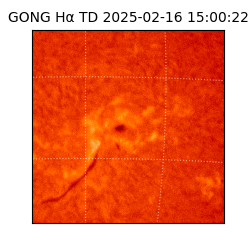 gong - 2025-02-16T15:00:22