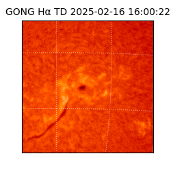 gong - 2025-02-16T16:00:22