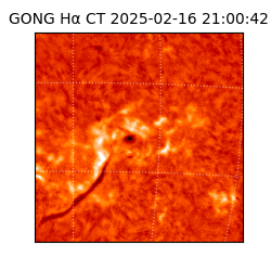 gong - 2025-02-16T21:00:42