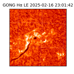 gong - 2025-02-16T23:01:42