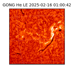 gong - 2025-02-16T01:00:42