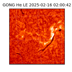 gong - 2025-02-16T02:00:42