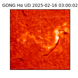 gong - 2025-02-16T03:00:02