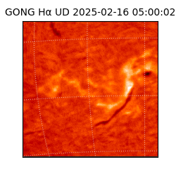 gong - 2025-02-16T05:00:02
