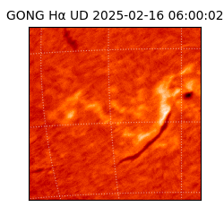 gong - 2025-02-16T06:00:02