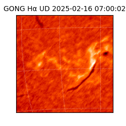 gong - 2025-02-16T07:00:02
