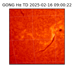 gong - 2025-02-16T09:00:22