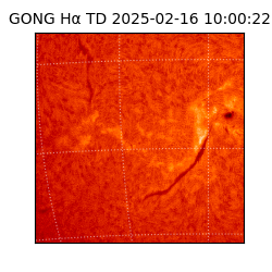 gong - 2025-02-16T10:00:22