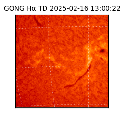 gong - 2025-02-16T13:00:22