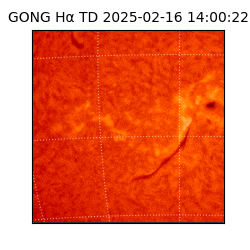 gong - 2025-02-16T14:00:22