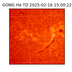 gong - 2025-02-16T15:00:22