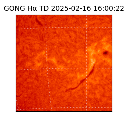 gong - 2025-02-16T16:00:22