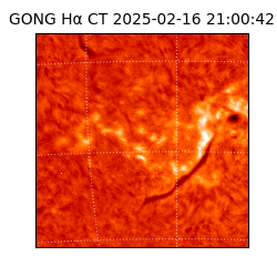 gong - 2025-02-16T21:00:42