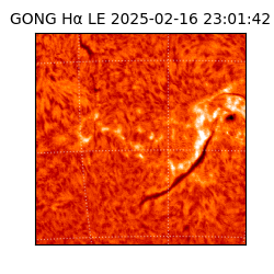gong - 2025-02-16T23:01:42