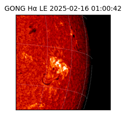 gong - 2025-02-16T01:00:42