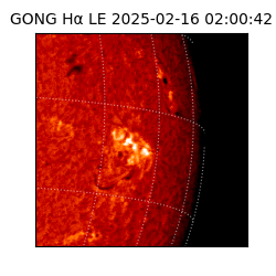 gong - 2025-02-16T02:00:42