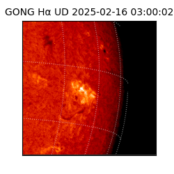gong - 2025-02-16T03:00:02