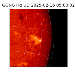 gong - 2025-02-16T05:00:02
