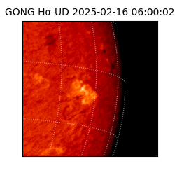 gong - 2025-02-16T06:00:02