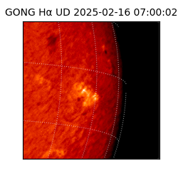 gong - 2025-02-16T07:00:02